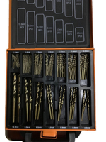 99PCS HSS Drills DIN338 Amber HSS Twist Drill Bits Set in Metal Box (SED-DBS99-3)