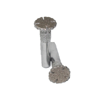 Flower Flake Type Vacuum Brazed Diamond Mounted Points Diamond Burr (SED-MPVB-FF)