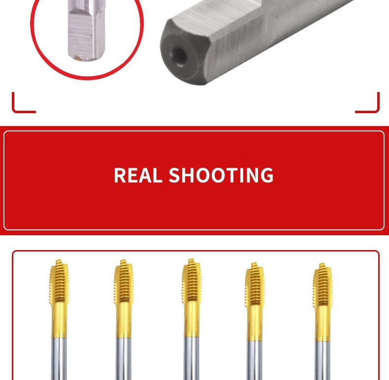 DIN376 HSS Spiral Fluted Machine Tap (SED-MT376)