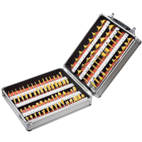 100PCS Wood Milling Cutter Wood Router Bits Set (SED-RBS100)