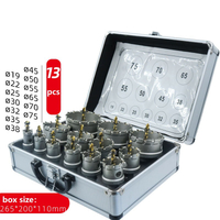 13PCS High Quality Tungsten Carbide Hole Cutter Tct Hole Saw Set in Box for Metal Cutting (SED-THS-S13)