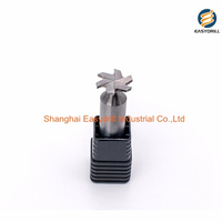Customized Tungsten Carbide 6 Flutes T Slot End Mill (SED-EM-TS6F)