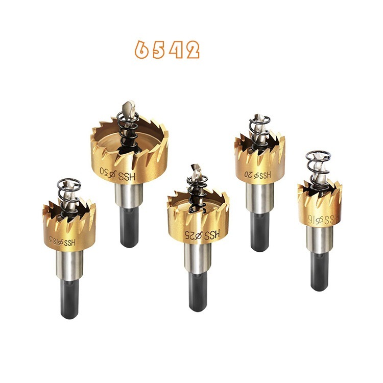 5PCS Tin Coated HSS Hole Saw Set (SED-HSS-S5)