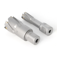 Power Tools Accessorieshss Hollow Drill Bits HSS Annular Cutter for Stainless Steel, Metal etc (SED-HDA)