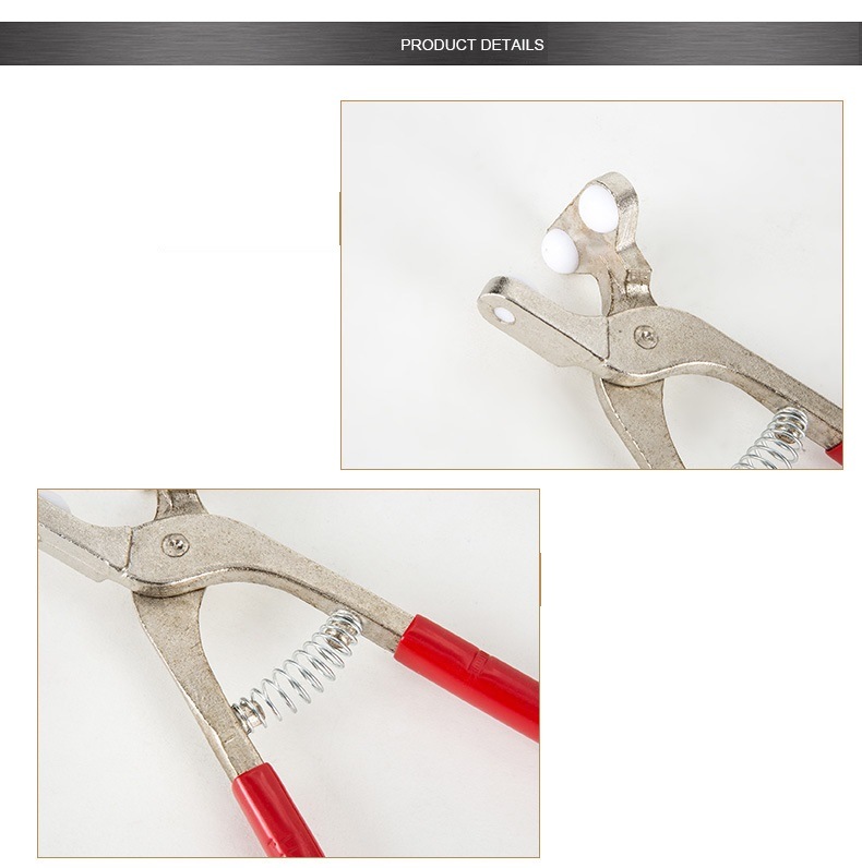 Three Points Glass Plier with Plastic Handle (SED-GP-3P)